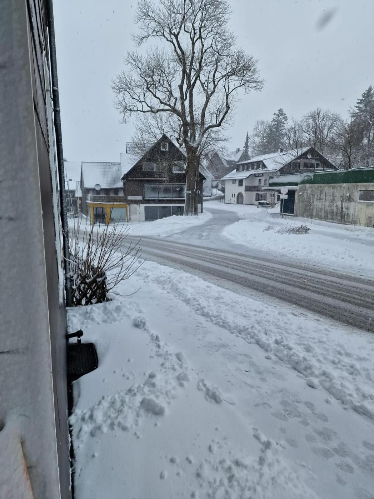 Mikes Fewo Braunlage Esterno foto